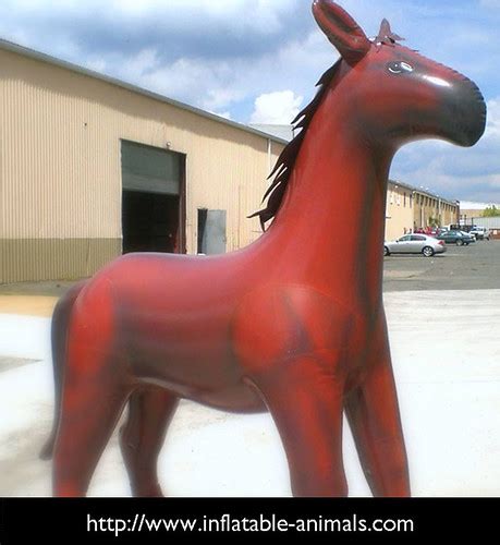 Image result for Inflatable Ponies