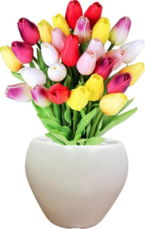 DawnRays 12 inch Big Size Plastic Pot Apple Shape Gamla / Flower Pot ...