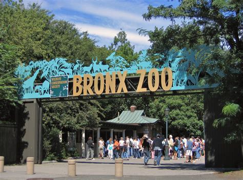 Visit the Bronx Zoo in New York - the world's largest urban zoo and get up close to more than ...