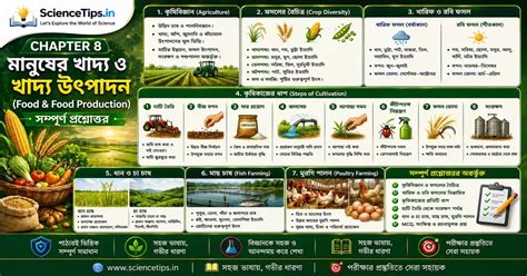 WBBSE Class 8 Poribesh O Biggan Chapter 8 মানুষের খাদ্য ও খাদ্য উৎপাদন ...