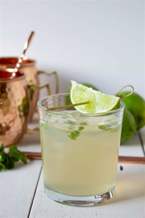 Moscow Mule | Recipe | Ginger ale drinks, Mint drink, Vodka lime