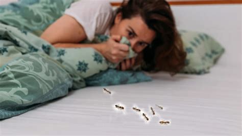 Ant Phobia | చీమల ఫోబియాతో వివాహిత ఆత్మహత్య