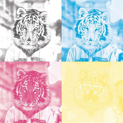 Image result for CMYK Color Separation Software