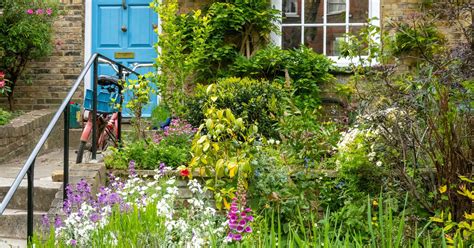 The Best Way To Water Your Plants In Late Summer For Optimal Growth - The Garden Magazine