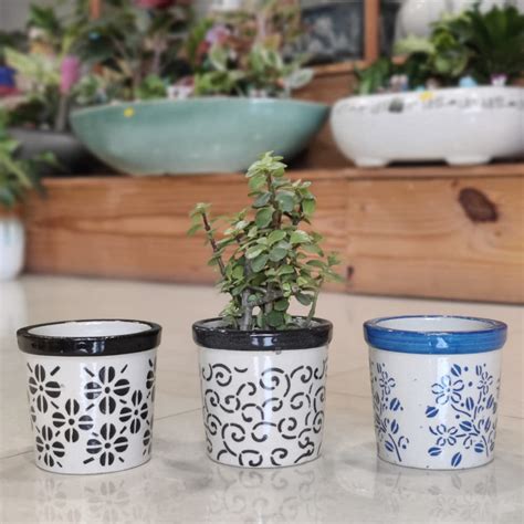 Ceramic Pot for Plants Medium Size planters Glass Type Pot only (Plant ...
