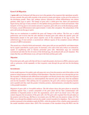 Foot modification im mollusca - Dept. of Zoology, R.J., Chapra Foot or ...