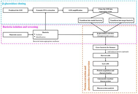 β-Glucosidase in Bioconversion of Ginsenosides in Panax ginseng ...