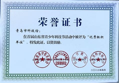 青岛选手在首届山东省科技节中斩获佳绩