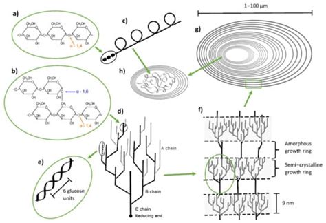 Physical, Chemical and Biochemical Modification Approaches of Potato ...