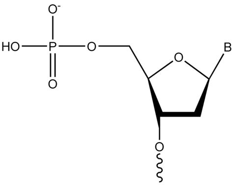 Non Fluorescent Modifications & Their Structures