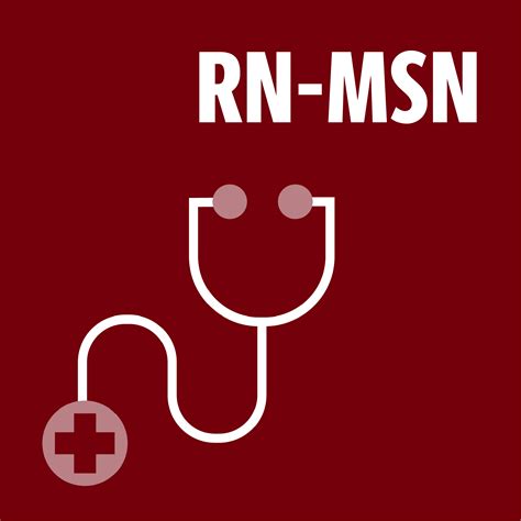RN to MSN Program - College of Nursing | University of South Carolina