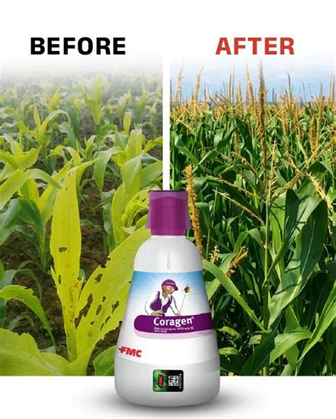 Buy Coragen Insecticide (Chlorantraniliprole 18.5% SC) – Long-Lasting ...