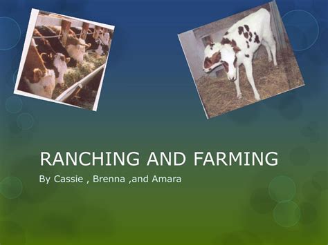 PPT - RANCHING AND FARMING PowerPoint Presentation, free download - ID:5471150