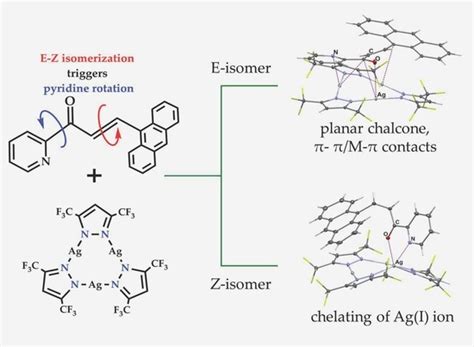 Exploring the Interaction of Pyridine-Based Chalcones with Trinuclear ...