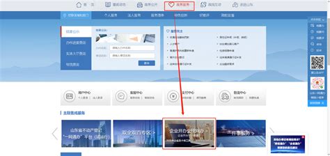 济南市工商局公司设立登记流程图Word模板下载_编号qyvpmxmd_熊猫办公