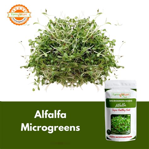 Alfalfa Microgreens - Grower Pack – Farmgokart