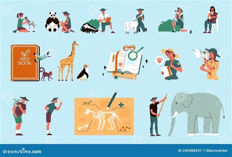 Zoologist Male Illustration Cartoon Drawing And White Background White Background And White ... - illustration of zoology