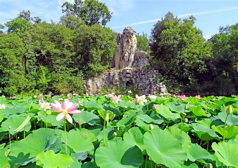 PARCO MEDICEO DI PRATOLINO (VILLA DEMIDOFF) (2026) All You Need to Know ...