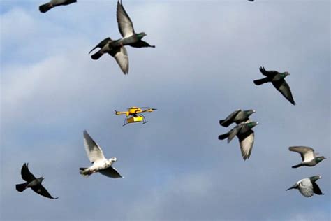 Why Having a Single Regulator Would Upset India’s Game of Drones - The Wire