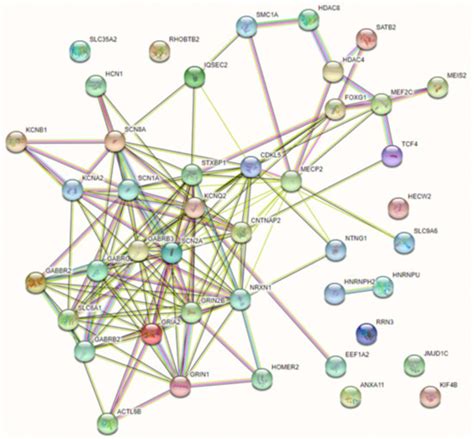 Rett Syndrome Spectrum in Monogenic Developmental-Epileptic ...
