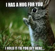 Image result for Bugs Bunny Hug