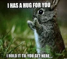 Image result for Bunnies Hugging Clip Art