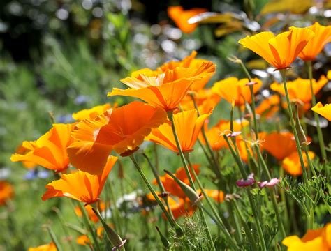 15 Cheap Retaining Wall Ideas You Can DIY