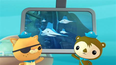 Image result for Octonauts Creature Report Colossal Squid