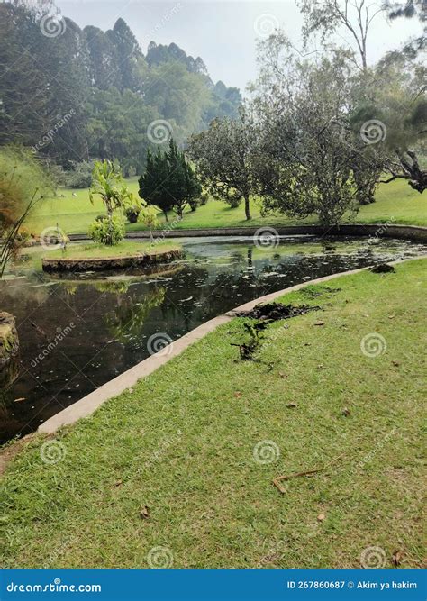 The Meadows in Bogor, Usually Called the West Java Indonesian ...