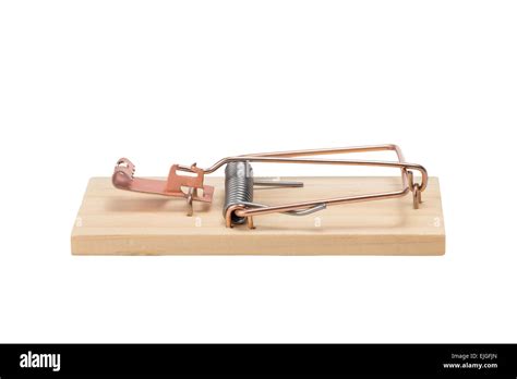 Image result for Spring Trap Repaired