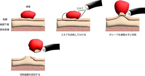 Image result for Making Class Java