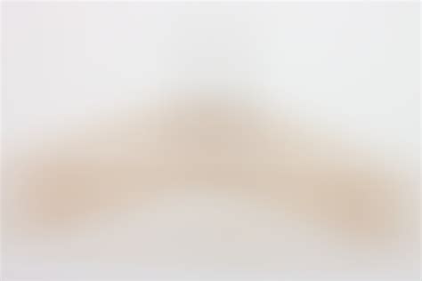 ratisbon's | Kleiderbügel "Arische Firma" | DISCOVER GENUINE MILITARIA ...