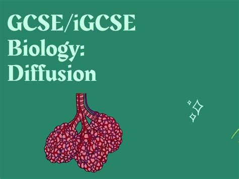 Image result for Diffusion GCSE Science