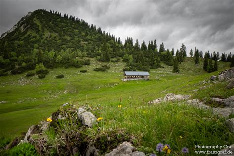 Loop Trail 的图像结果