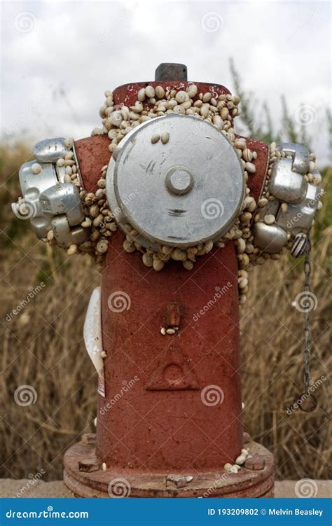 Snail Encrusted Fire Hydrant. Stock Photo - Image of home, acting ...