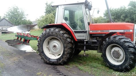 Obraz traktor Massey Ferguson 3125 id:738905 - Galeria rolnicza agrofoto