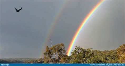 Chromatic dispersion and rainbows: Physclips - Light