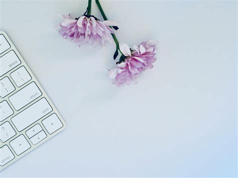 Image result for Simple Pretty Computer Backgrounds