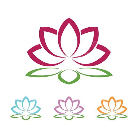Lotus Flower Care | Best Flower Site