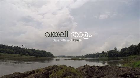 Portfolio | Verve Media