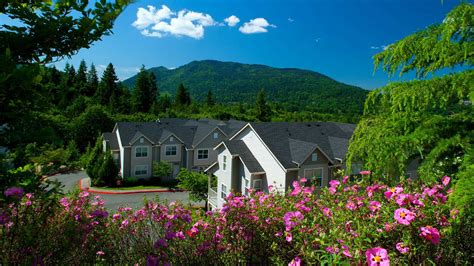 Issaquah Apartments in WA | The Timbers at Issaquah Ridge