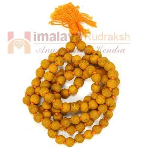Natural Haldi (turmeric) Mala | Himalaya Rudraksha Anusandhan Kendra