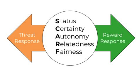 Image result for Scarf Model Explained