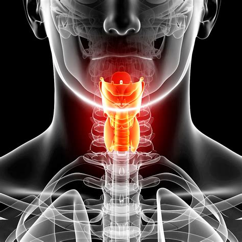 Five Things to Know About HPV & Throat Cancer | NYU Langone News