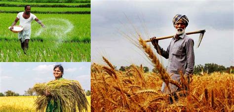 JAY KISHAN | Pesticides,Agrochemicals,Herbicides,Weedicides ...
