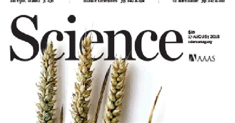 The Wheat Code is Finally Cracked: Indian team contributed to ...