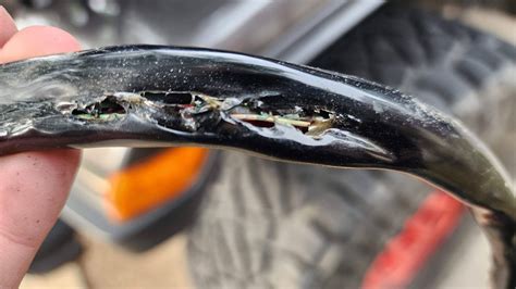 Image result for Shorted Compressor