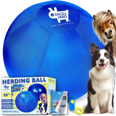 Race&Herd Herding Ball for Dogs (25" M Herding Ball Set) Herding Ball ...