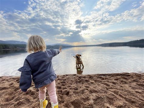 Best Campervan Hire Scotland | Four Seasons Campers