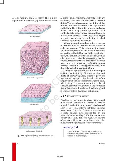 Tissues - NCERT Book of Class 9 Science